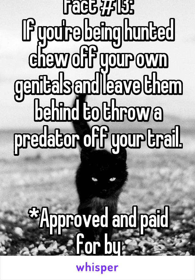 Fact #13:
If you're being hunted chew off your own genitals and leave them behind to throw a predator off your trail. 

*Approved and paid for by Mrs.DeadKettles.*