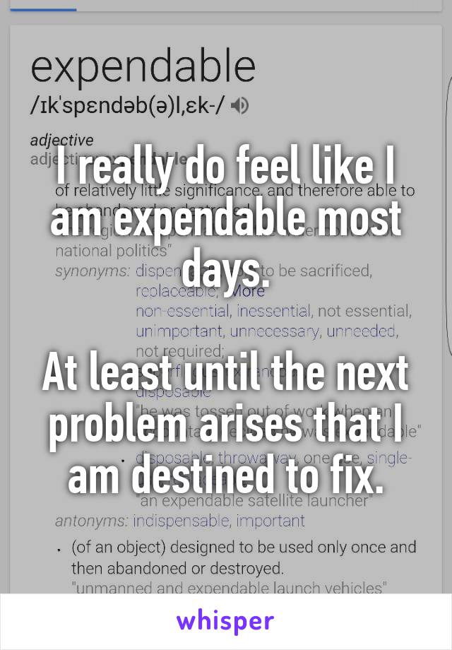 I really do feel like I am expendable most days.

At least until the next problem arises that I am destined to fix.