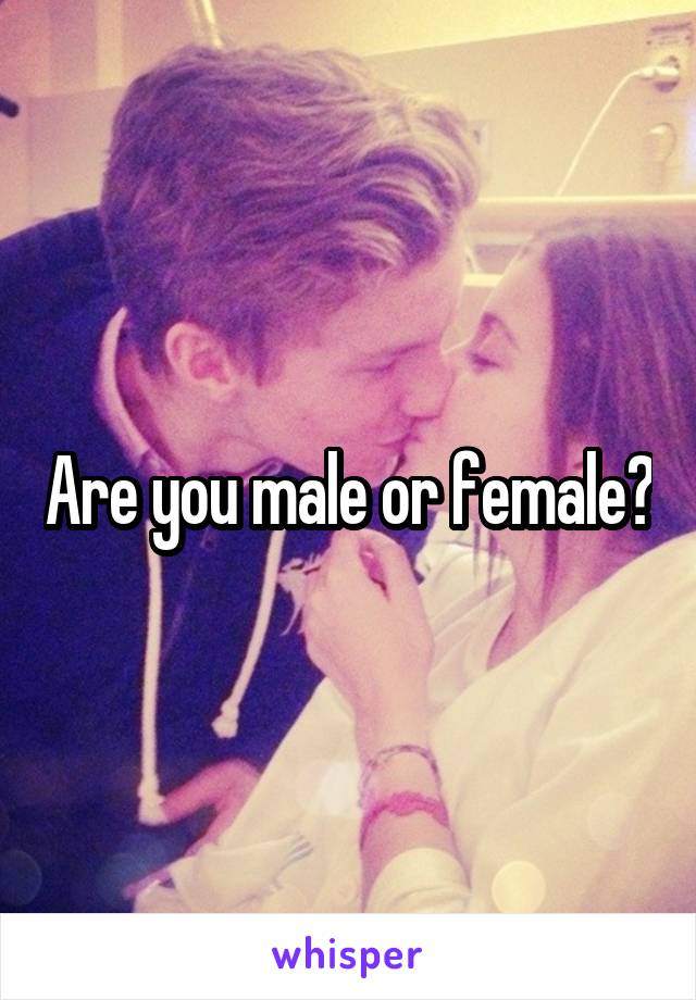 Are you male or female?