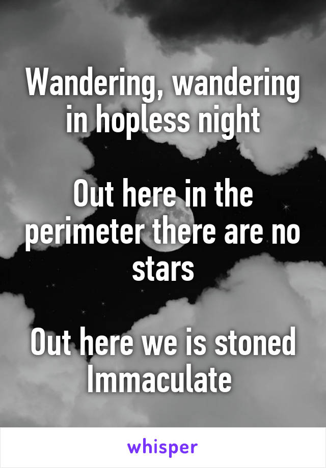 Wandering, wandering in hopless night

Out here in the perimeter there are no stars

Out here we is stoned
Immaculate 