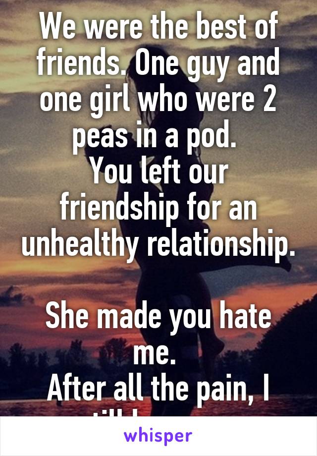 We were the best of friends. One guy and one girl who were 2 peas in a pod. 
You left our friendship for an unhealthy relationship. 
She made you hate me. 
After all the pain, I still love you 