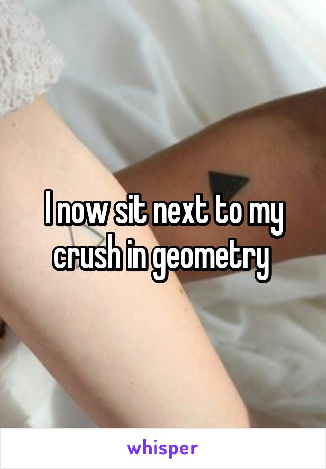 I now sit next to my crush in geometry 