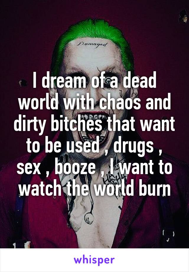 I dream of a dead world with chaos and dirty bitches that want to be used , drugs , sex , booze , I want to watch the world burn