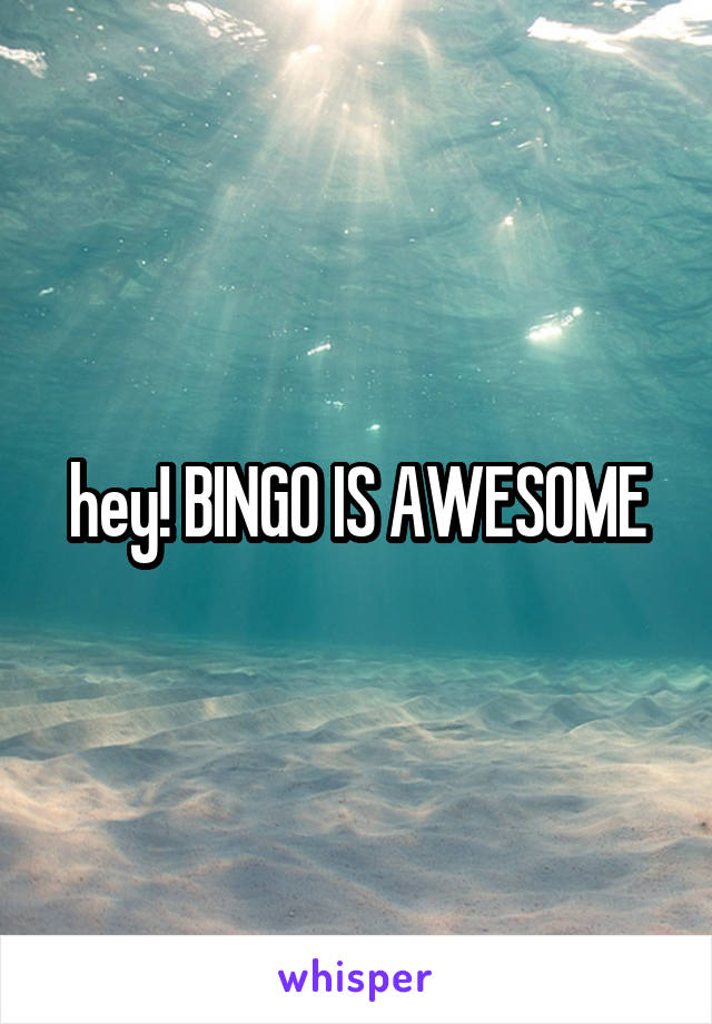 hey! BINGO IS AWESOME