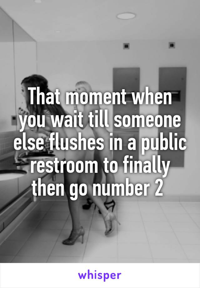 That moment when you wait till someone else flushes in a public restroom to finally then go number 2 