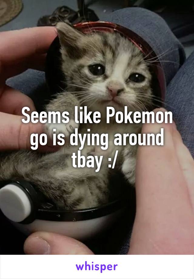 Seems like Pokemon go is dying around tbay :/ 