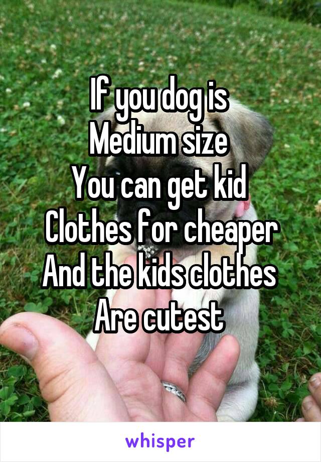 If you dog is 
Medium size 
You can get kid 
Clothes for cheaper
And the kids clothes 
Are cutest 
