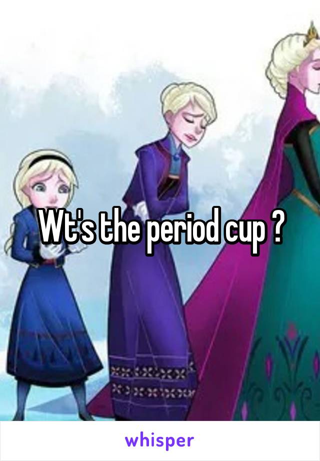 Wt's the period cup ?