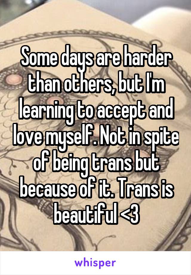 Some days are harder than others, but I'm learning to accept and love myself. Not in spite of being trans but because of it. Trans is beautiful <3