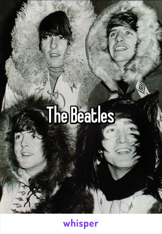 The Beatles 