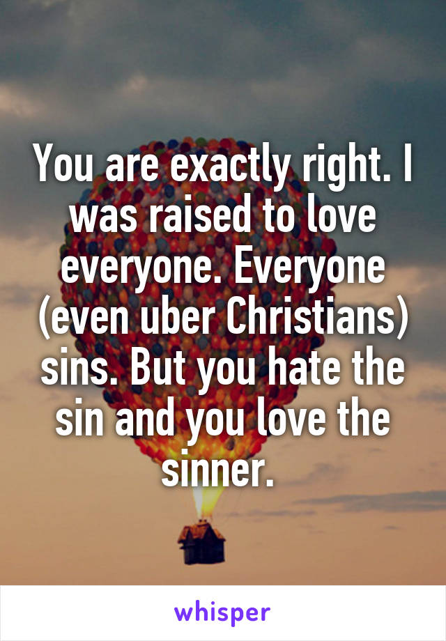 You are exactly right. I was raised to love everyone. Everyone (even uber Christians) sins. But you hate the sin and you love the sinner. 