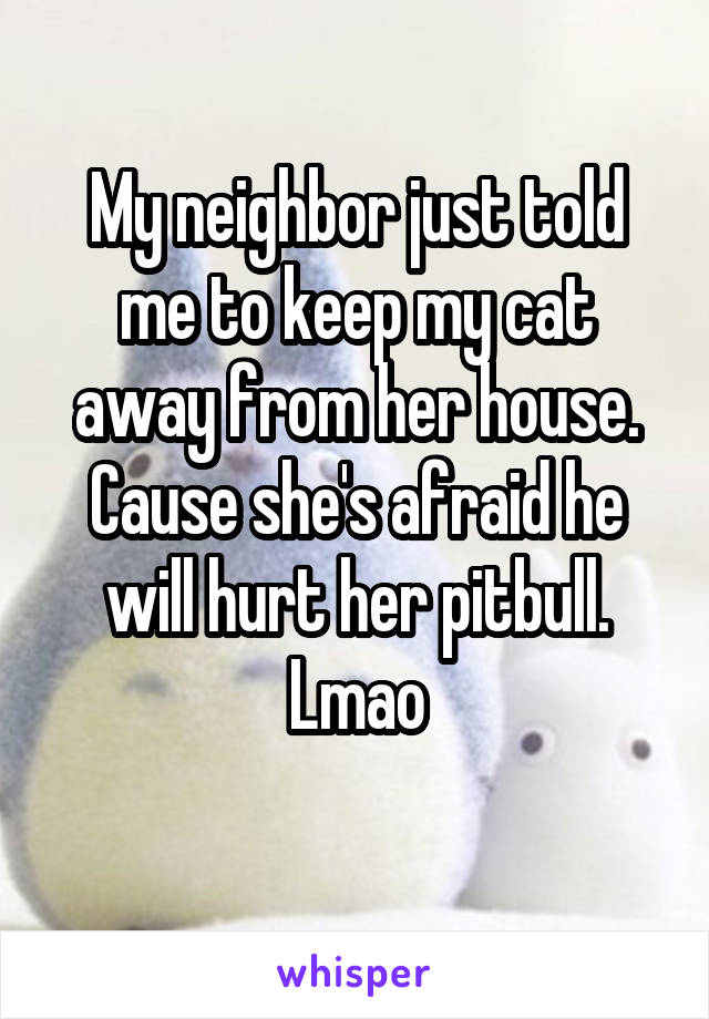 My neighbor just told me to keep my cat away from her house. Cause she's afraid he will hurt her pitbull. Lmao
