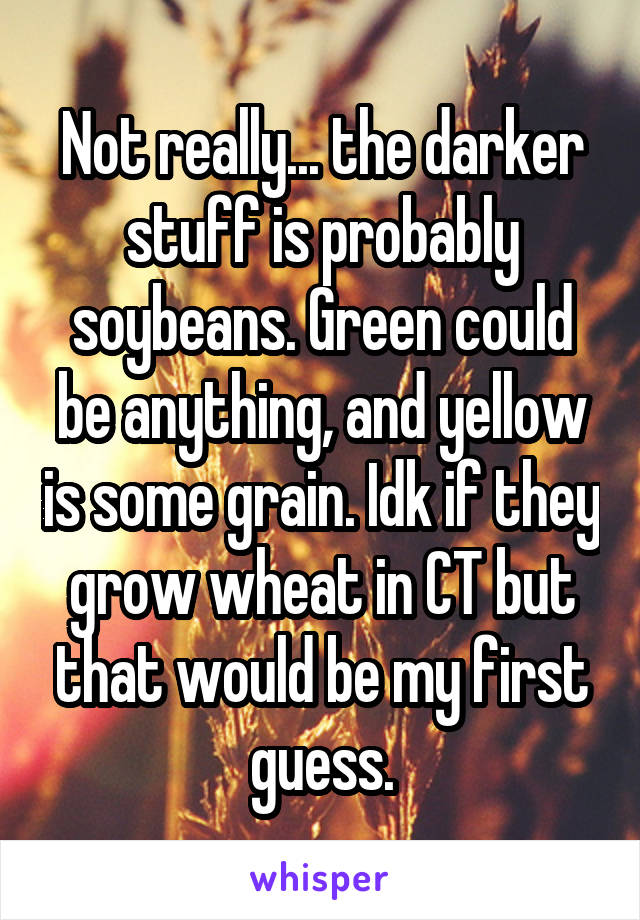 Not really... the darker stuff is probably soybeans. Green could be anything, and yellow is some grain. Idk if they grow wheat in CT but that would be my first guess.