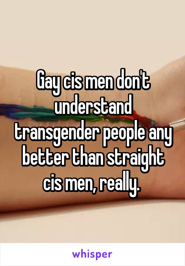 Gay cis men don't understand transgender people any better than straight cis men, really. 