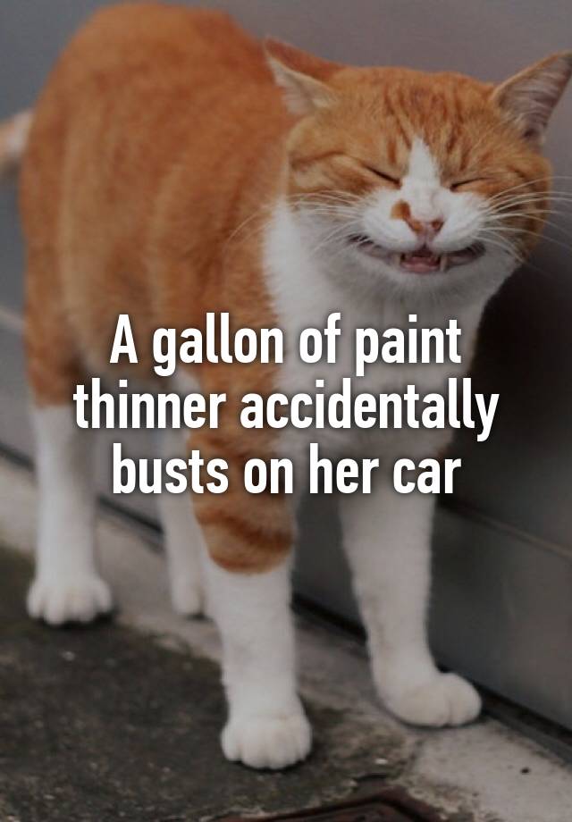 A gallon of paint thinner accidentally busts on her car