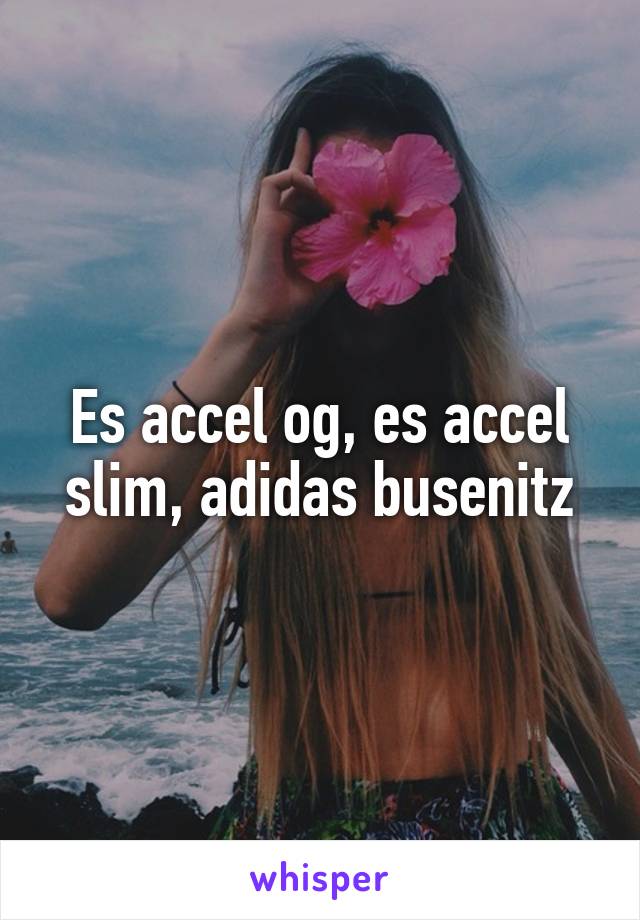 Es accel og, es accel slim, adidas busenitz