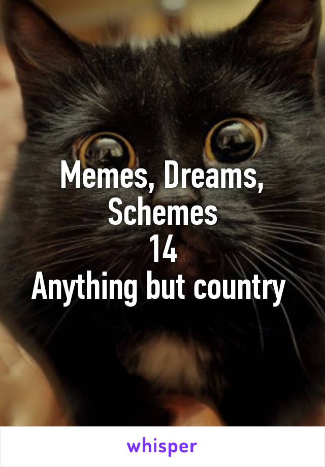 Memes, Dreams,
Schemes
14
Anything but country 