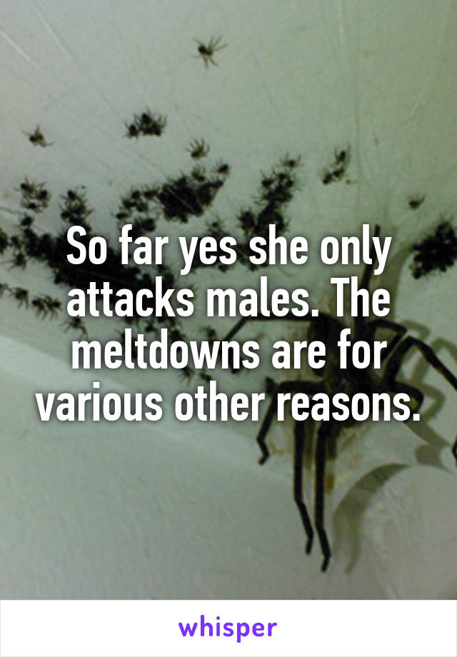 So far yes she only attacks males. The meltdowns are for various other reasons.