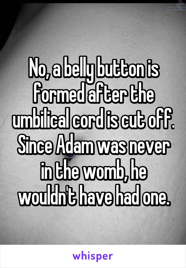 No, a belly button is formed after the umbilical cord is cut off. Since Adam was never in the womb, he wouldn't have had one.