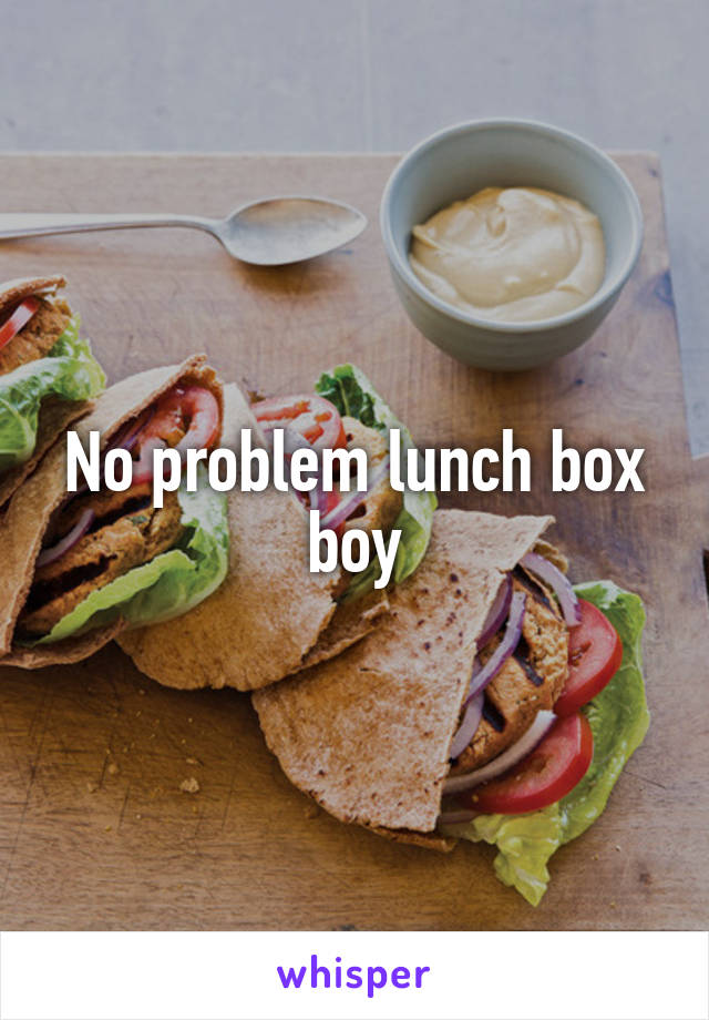 No problem lunch box boy