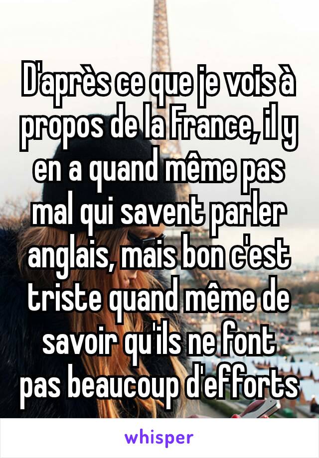 D'après ce que je vois à propos de la France, il y en a quand même pas mal qui savent parler anglais, mais bon c'est triste quand même de savoir qu'ils ne font pas beaucoup d'efforts