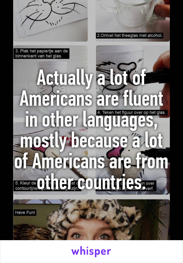 Actually a lot of Americans are fluent in other languages, mostly because a lot of Americans are from other countries.