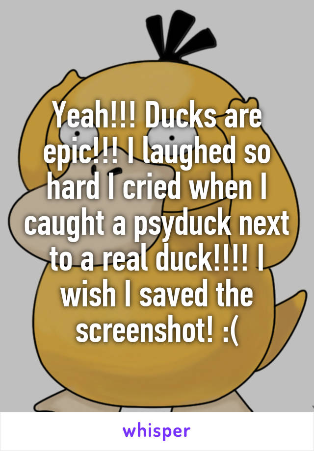 Yeah!!! Ducks are epic!!! I laughed so hard I cried when I caught a psyduck next to a real duck!!!! I wish I saved the screenshot! :(