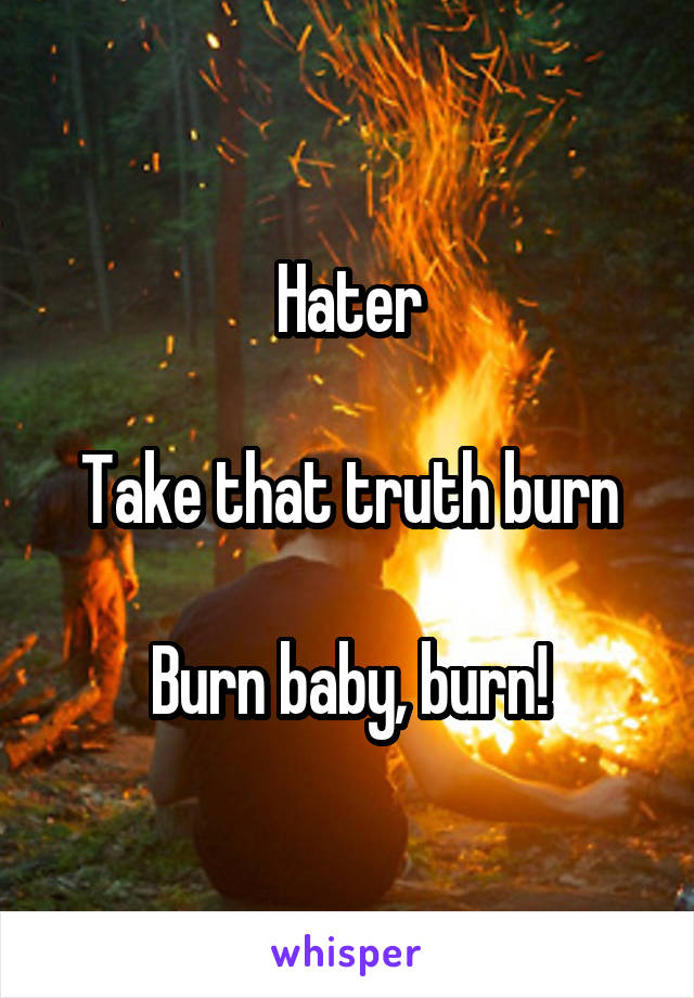 Hater

Take that truth burn

Burn baby, burn!