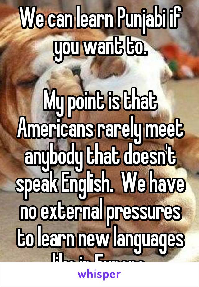 We can learn Punjabi if you want to.

My point is that Americans rarely meet anybody that doesn't speak English.  We have no external pressures to learn new languages like in Europe.