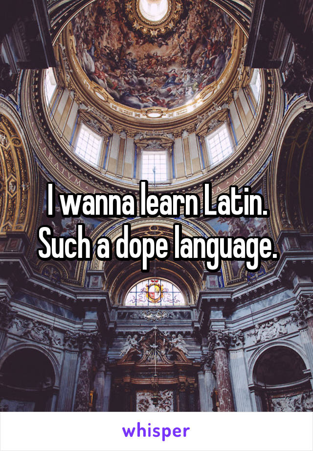 I wanna learn Latin. Such a dope language.