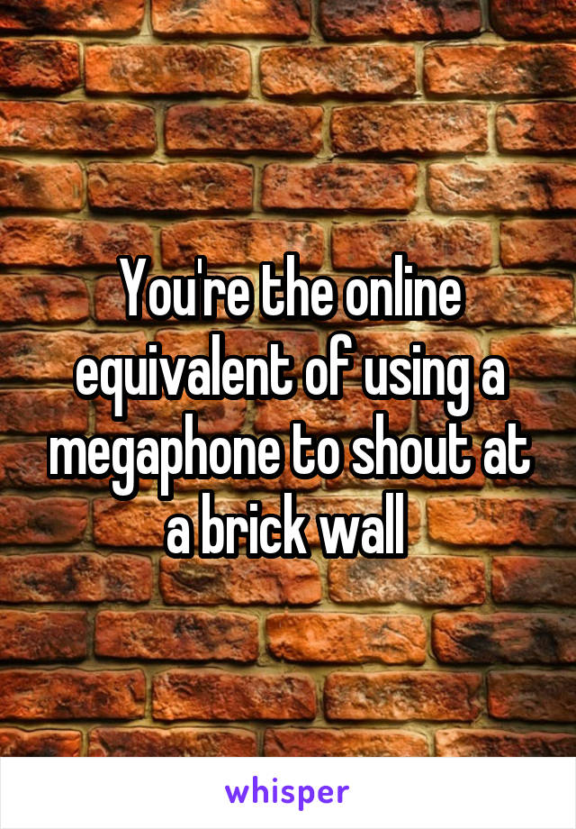 You're the online equivalent of using a megaphone to shout at a brick wall 