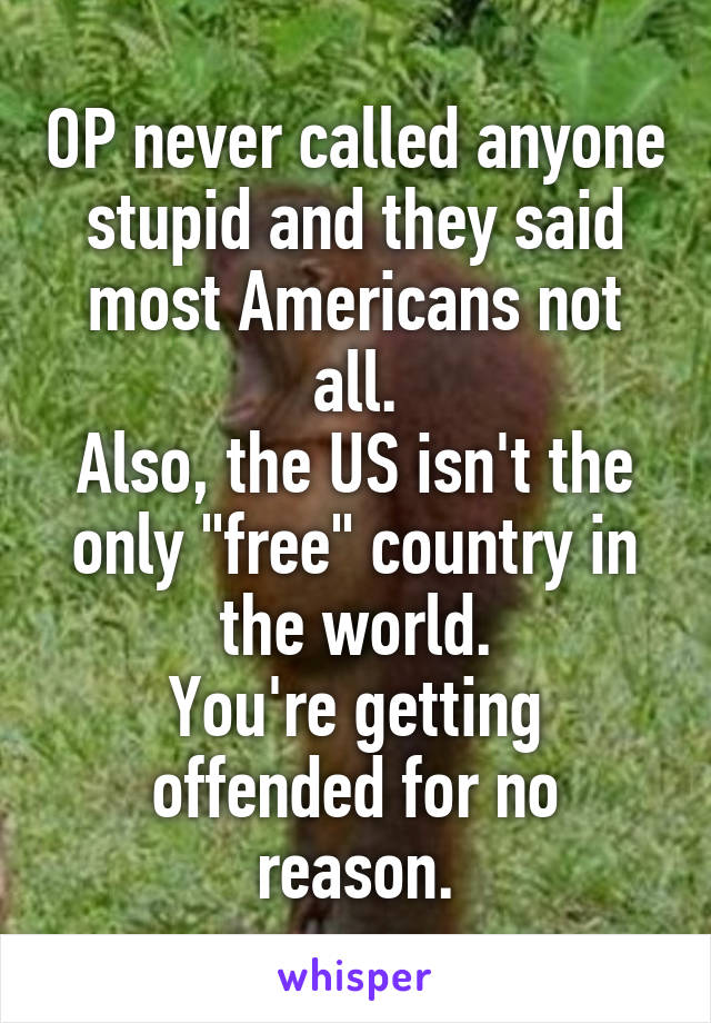 OP never called anyone stupid and they said most Americans not all.
Also, the US isn't the only "free" country in the world.
You're getting offended for no reason.
