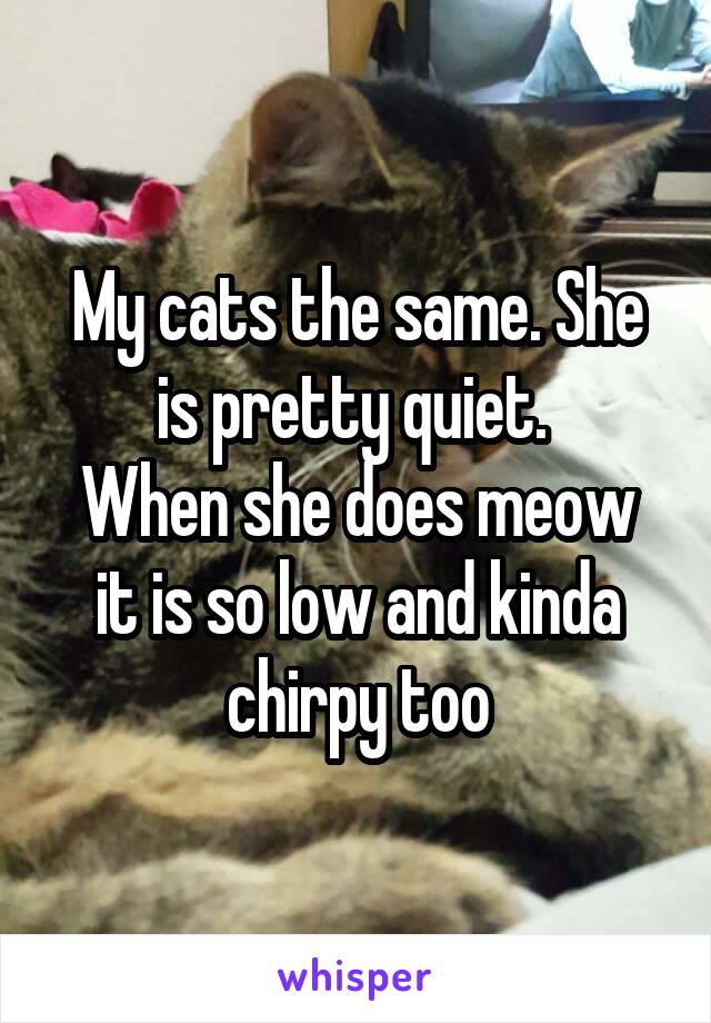 My cats the same. She is pretty quiet. 
When she does meow it is so low and kinda chirpy too