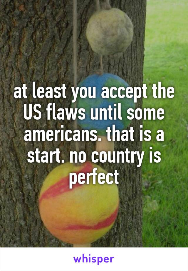 at least you accept the US flaws until some americans. that is a start. no country is perfect