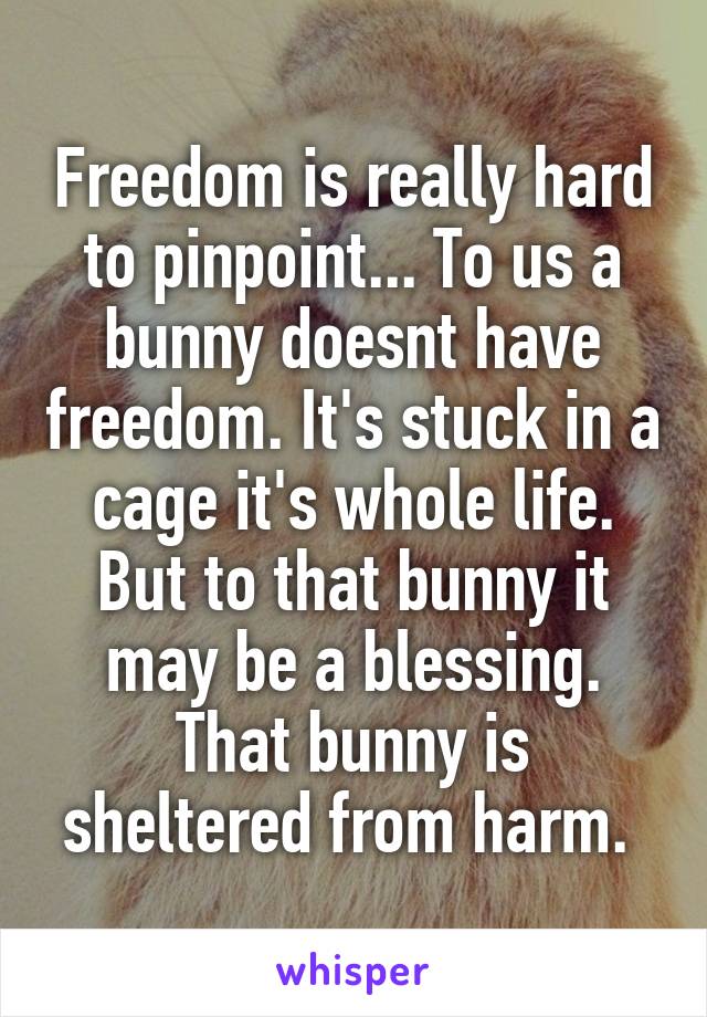 Freedom is really hard to pinpoint... To us a bunny doesnt have freedom. It's stuck in a cage it's whole life. But to that bunny it may be a blessing. That bunny is sheltered from harm. 