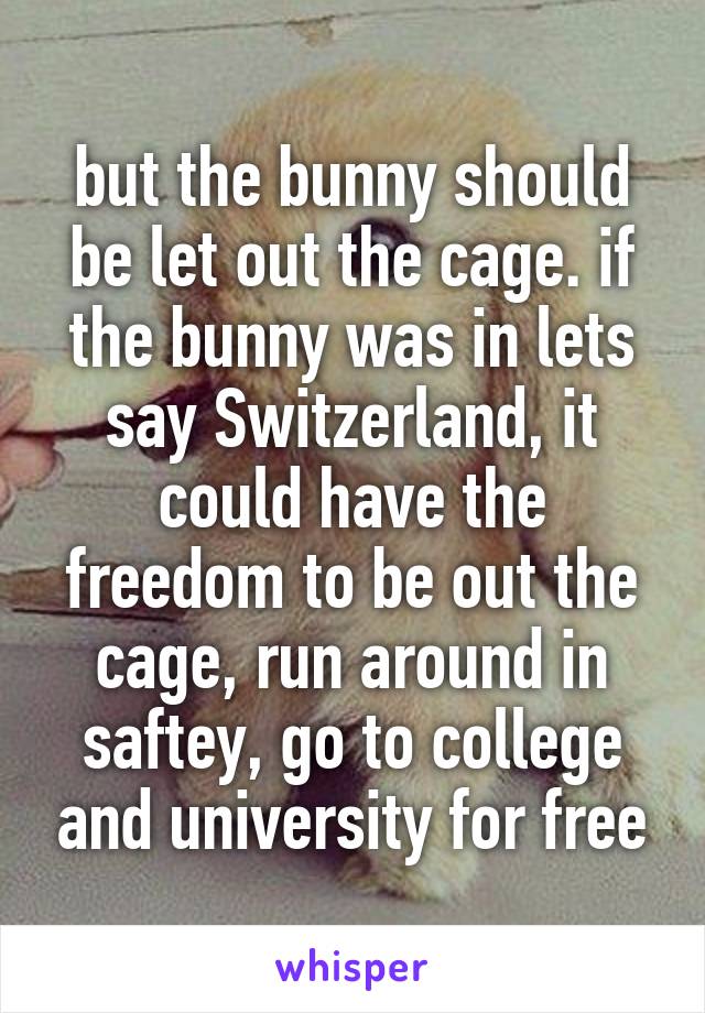 but the bunny should be let out the cage. if the bunny was in lets say Switzerland, it could have the freedom to be out the cage, run around in saftey, go to college and university for free