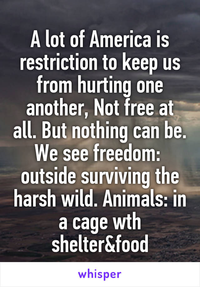 A lot of America is restriction to keep us from hurting one another, Not free at all. But nothing can be. We see freedom:  outside surviving the harsh wild. Animals: in a cage wth shelter&food