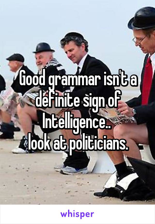 Good grammar isn't a definite sign of Intelligence.. 
look at politicians.