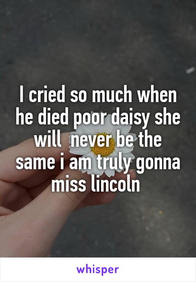 I cried so much when he died poor daisy she will  never be the same i am truly gonna miss lincoln 