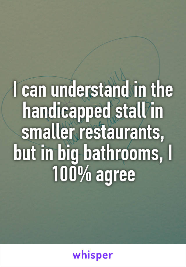 I can understand in the handicapped stall in smaller restaurants, but in big bathrooms, I 100% agree