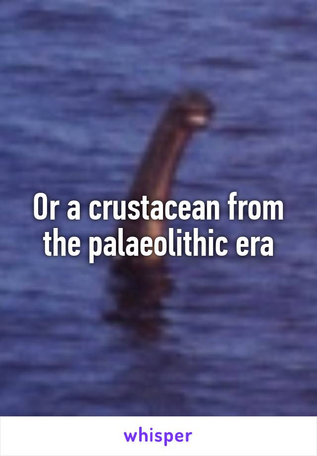 Or a crustacean from the palaeolithic era