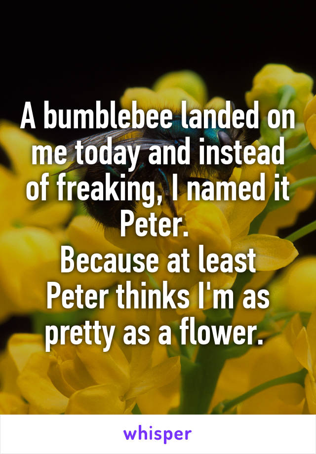A bumblebee landed on me today and instead of freaking, I named it Peter. 
Because at least Peter thinks I'm as pretty as a flower. 