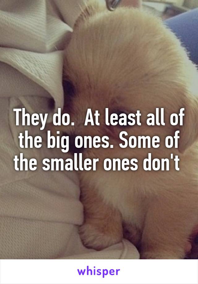 They do.  At least all of the big ones. Some of the smaller ones don't 