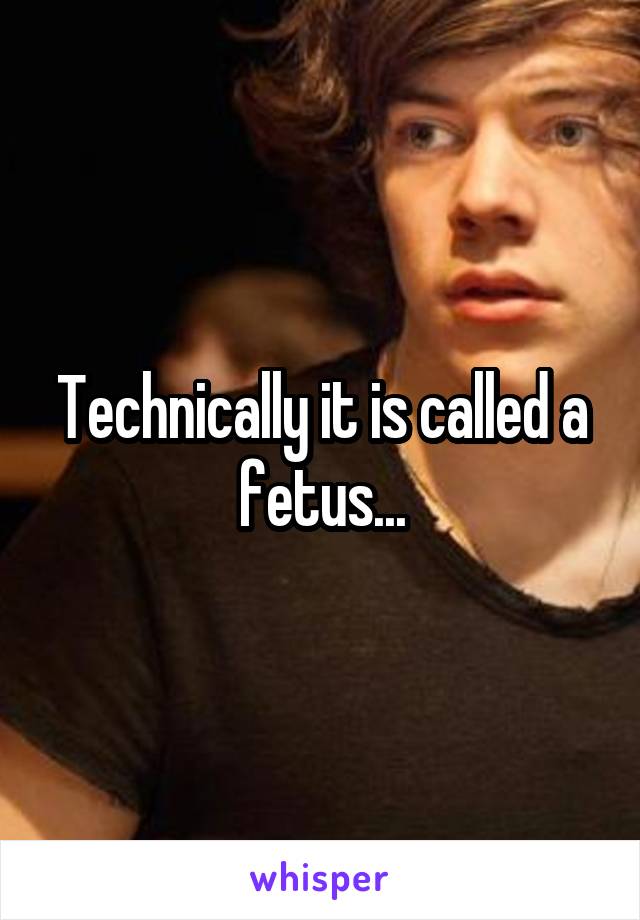 Technically it is called a fetus...