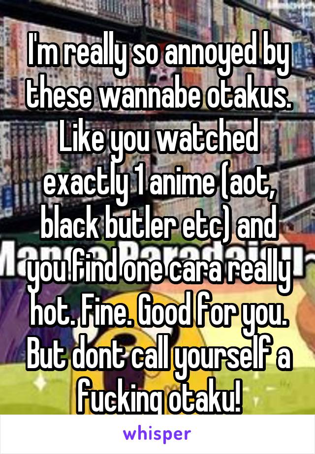 I'm really so annoyed by these wannabe otakus.
Like you watched exactly 1 anime (aot, black butler etc) and you find one cara really hot. Fine. Good for you. But dont call yourself a fucking otaku!