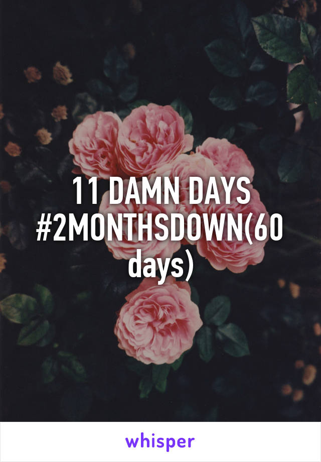 11 DAMN DAYS #2MONTHSDOWN(60 days)