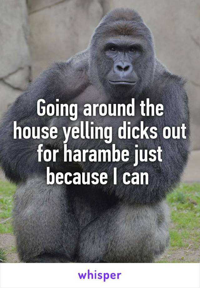 Going around the house yelling dicks out for harambe just because I can 