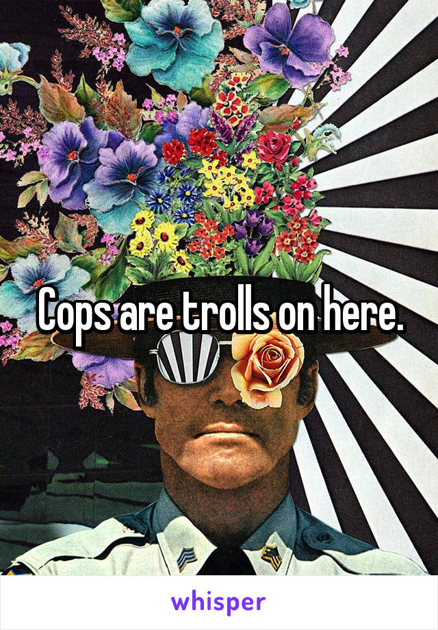 Cops are trolls on here.