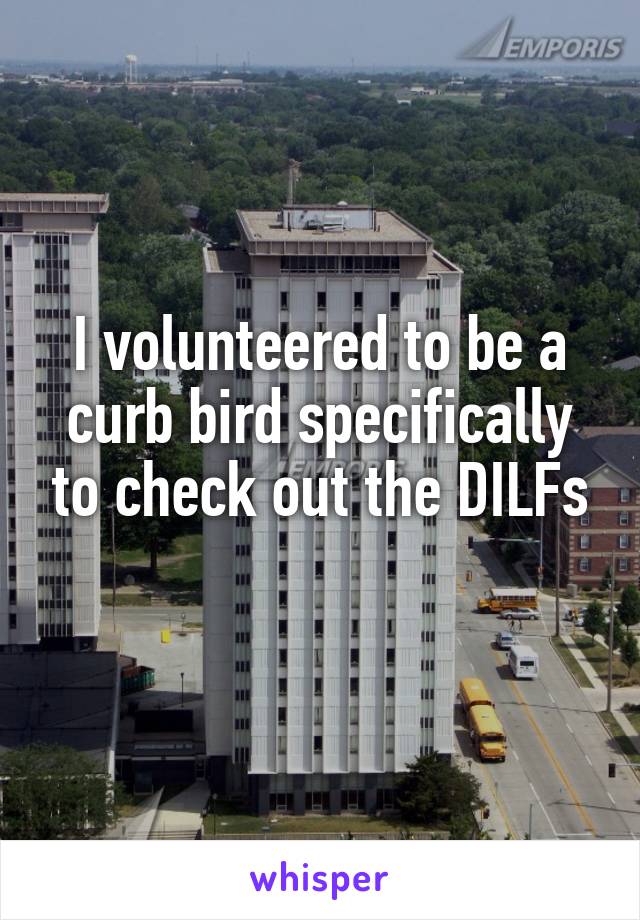 I volunteered to be a curb bird specifically to check out the DILFs
