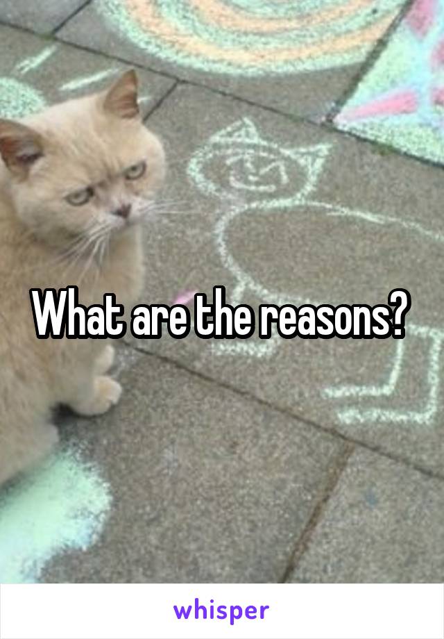 What are the reasons? 
